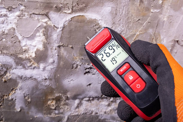 Attic Mold Removal in Bealeton, VA