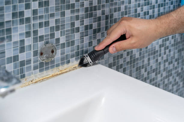 Bealeton, VA Mold Removal Company